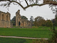 IMG 04614 1000D RAW V2  Der heilige Weißdorn, Glastonbury Abbey, Somerset